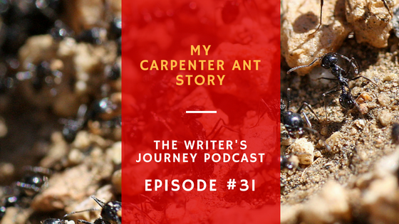 Ep 31: How My Home Got Invaded (By an Army of Carpenter Ants)